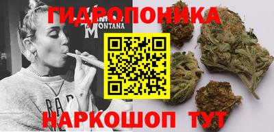 твердый Гай